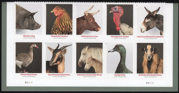 U.S. #5592a Heritage Breeds PNB of 10