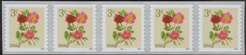 U.S. #5904 Peonies 3c PNC-5