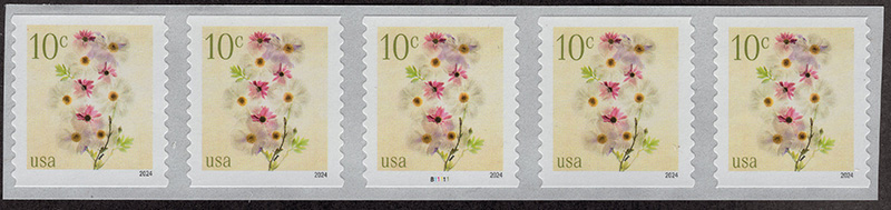 U.S. #5906 Poppies and Coneflowers 10c PNC-5