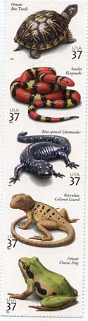 U.S. #3818a Reptiles and Amphibians Strip of 5