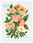 U.S. #3837 60c Pink Roses MNH