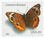 U.S. #4000 Buckeye Butterfly MNH