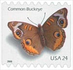 U.S. #4002 Buckeye Butterfly Coil MNH