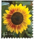 U.S. #4347 Sunflower MNH