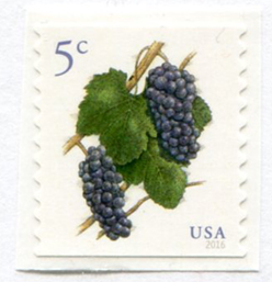 U.S. #5038 Grapes Coil