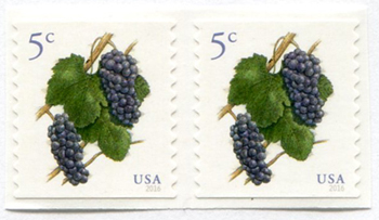 U.S. #5038 Grapes Coil Pair
