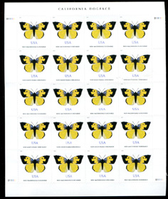 U.S. #5346 California Dogface Butterfly Pane of 20