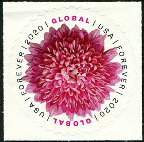 U.S. #5460 Global - Chrysanthemum