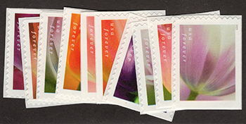 U.S. #5777-86 Tulip Blossoms, 10 Singles (from Booklet)