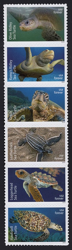 U.S. #5881a Protect Sea Turtles Strip of 6