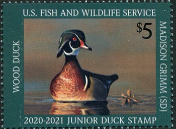 U.S. #JDS28 Junior Duck Stamp 2020 MNH