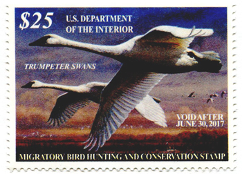U.S. #RW83 Trumpeter Swans 2016 Migratory Bird (Duck) Stamp