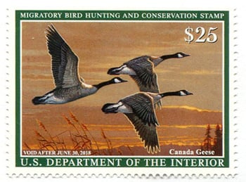 U.S. #RW84 Canada Geese 2017 Migratory Bird (Duck) Stamp