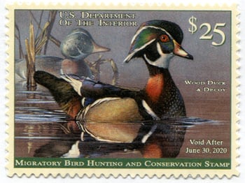 U.S. #RW86 Wood Duck and Decoy (2019) Stamp