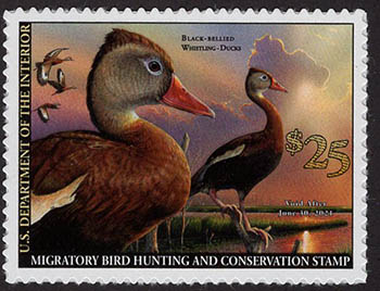 U.S. #RW87 Black-Bellied Whistling Duck 2020 Stamp