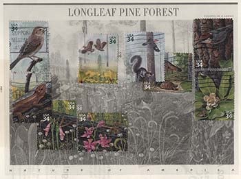 U.S. #3611 Nature of America - Pine Forest Set of 10, Used