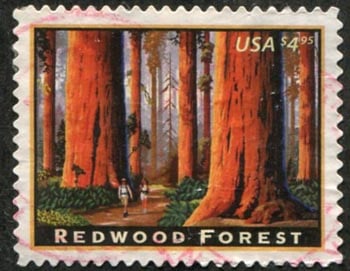 U.S. #4378 Redwood Forest Used
