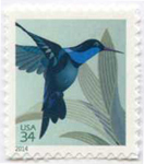 U.S. #4857 Hummingbird