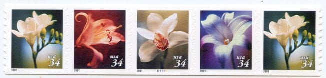 U.S. #3481a 34c Flowers - setenant strip PNC(5) #B2111